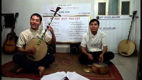 DẠY ĐÀN NGUYỆT CHO NGƯỜI DỐT CỰC DỐT CƠ BẢN 4.1 BAI 5