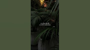 آيات من سورة المؤمنون ﴿107﴾-﴿108﴾ • ياسر الدوسري