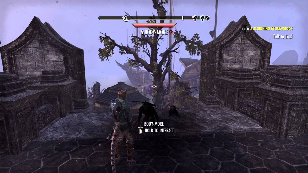 The Elder Scrolls Online - Playing with emotes