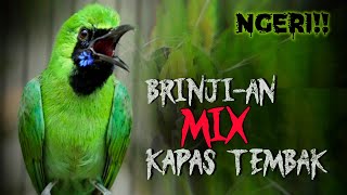 🔴NGERI..!!‼️MASTERAN CUCAK IJO FULL ISIAN BRINJI RAMBUT TUNGGIR DAN KAPAS TEMBAK