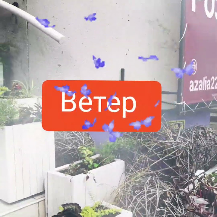 Барнаул, 11 июня. Погода. Осадки. - YouTube