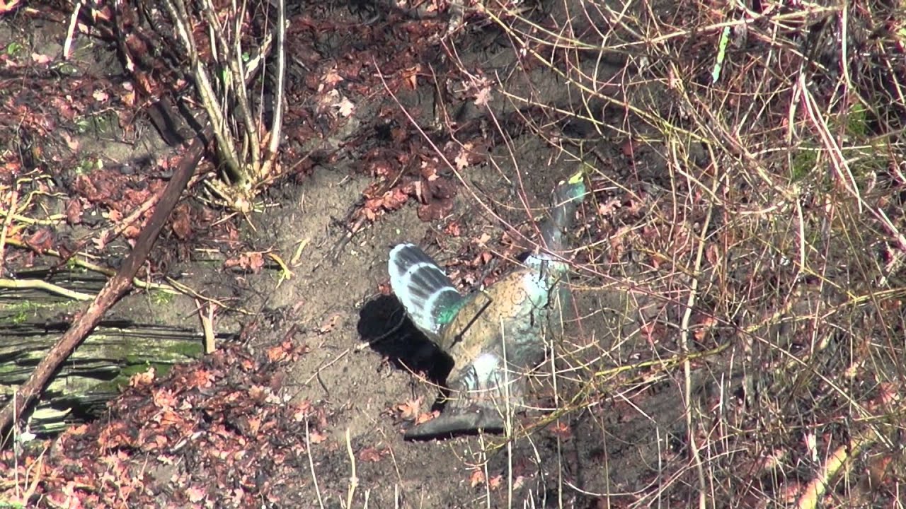 Winterrunde Tag 2 Schlichemtal part 1