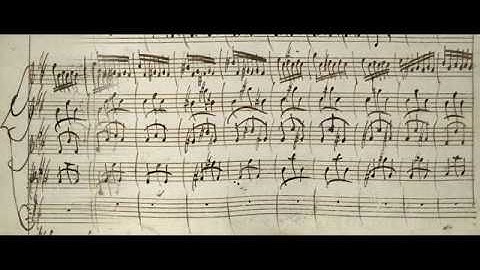 VIVALDI | Violin Concerto RV 207 in D major, Op. 11 No. 1 | for Anna Maria | Original manuscript