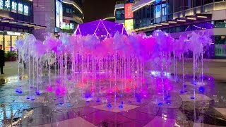 Shanghai Daning Fountain (Harmony)