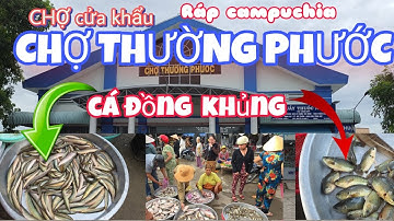 Chợ Cửa Khẩu " Chợ Thường Phước" ráp với Campuchia bán rất nhiều cá đồng tha hồ mua về nấu canh chua