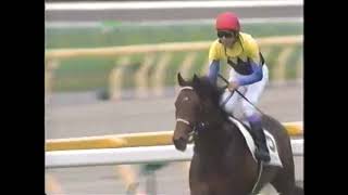 【ディープインパクト】2005年 日本ダービー スーパー競馬