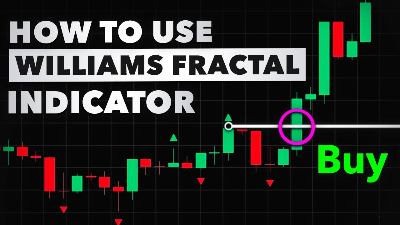 Why Smart Traders Use Williams Fractals for HUGE Profits? - YouTube