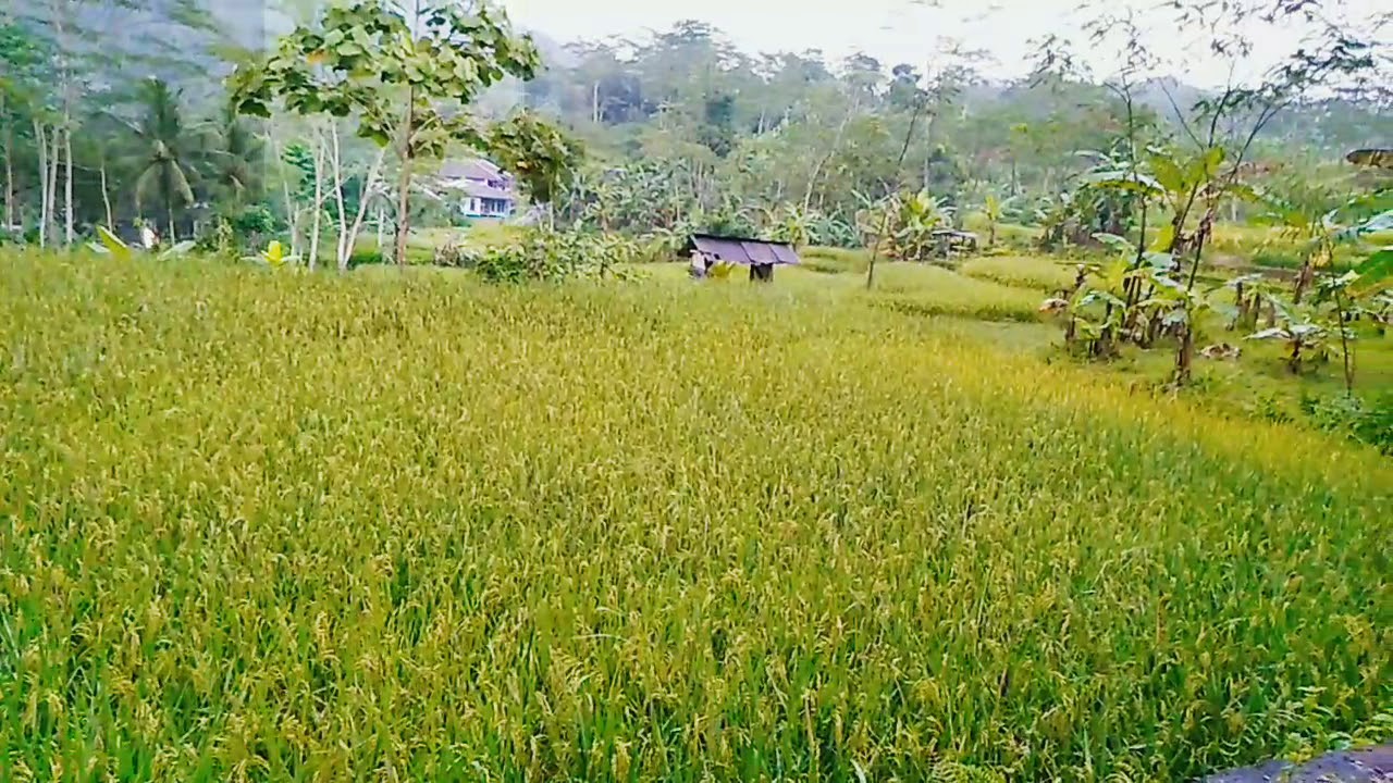 eloknya Cianjur selatan 