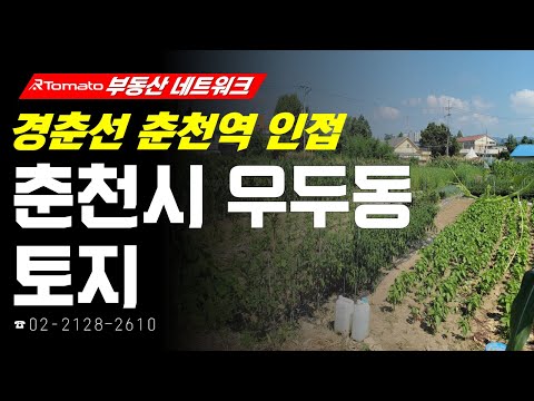 ‘강원도 <strong>춘천시</strong> 우두동 토지’