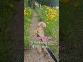 #아침공복에먹으면 좋은 #음식 #건강 #힐링 #채소 #상추씻을때 #강아지