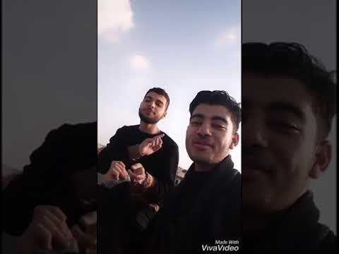 ميوزكلي مفيش ايموشن حب 