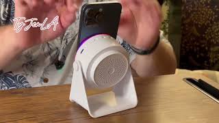 Induction Speaker Amazon Review