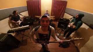 Freak Frogshow Tributo Silverchair