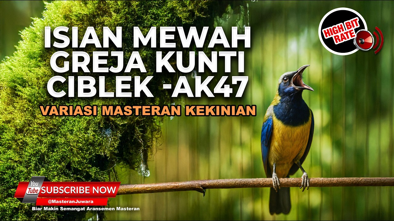 🔴 Live Masteran Full Cucak Cungkok Isian Tembakan Mewah Greja Ciblek Bren Kunti Bajing Kekes