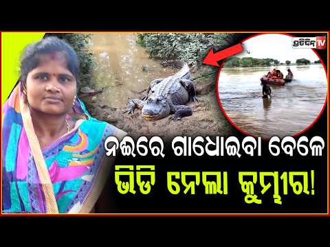 ବୋଲବମ ଯିବା ପାଇଁ ନଈରେ ଗାଧୋଇବା ବେଳେ ଭିଡି ନେଲା କୁମ୍ଭୀର!Crocodile Drags Woman's Body Back Into River
