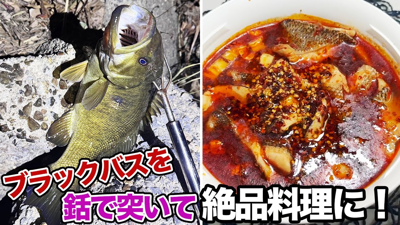 ブラックバスを銛で突いて絶品料理に！