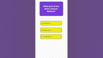 What Part of the Brain Controls Balance | Quiz #235