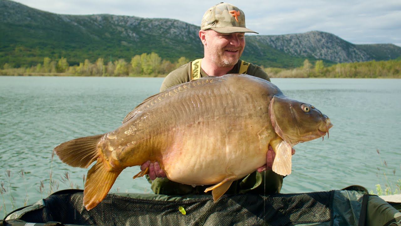 Őszi horgászat nagy pontyokra a tribalji gáton