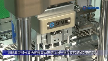 1  1 1 Matrix trim form singulation