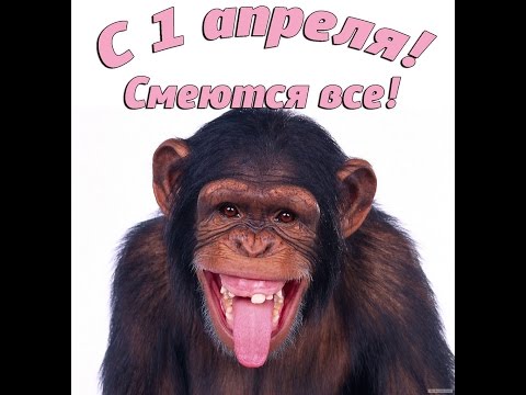 Одесса отпраздновала Юморину, с первым апреля Вас господа