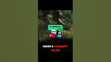 Which weapon do you choose ?