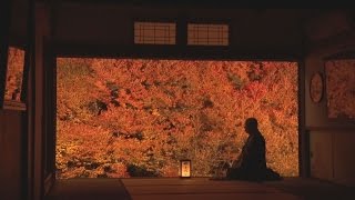紅葉「一枚の絵画」に　兵庫・安国寺、ツツジ見頃