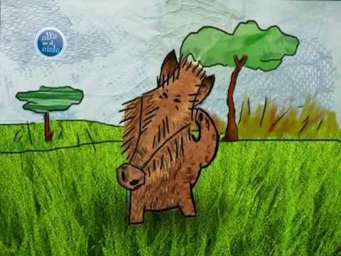 La Gata Flora: El pecarí. tv kanalları
