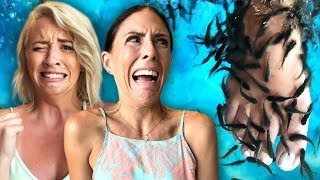 Trying the FISH PEDICURE in Mexico?! Trying the FISH PEDICURE in Mexico?!