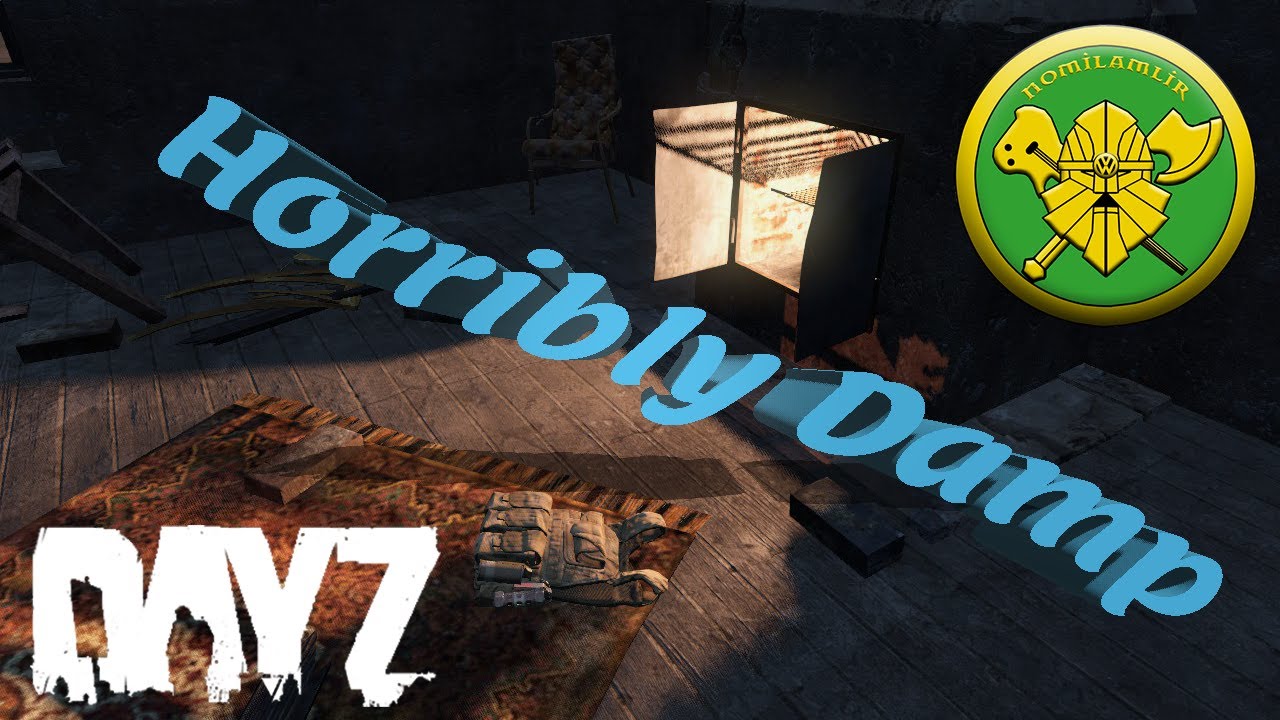 DayZ Horribly Damp YouTube
