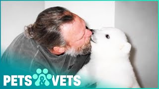 Polar Bear's Special Bond With Man