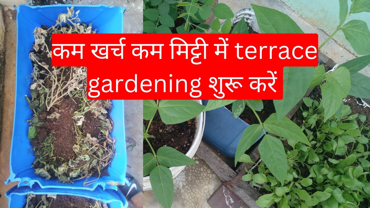Terrace gardening with less soil - YouTube