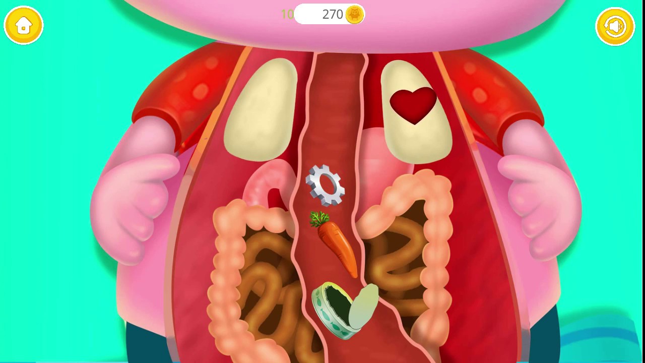 Doctor Kids Games Baby Learn How To Little Buddies Animal Hospital