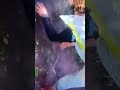 استخرج الطعم بهدله ومهوش سهل زي الناس ماهى فهمه كفر الشيخ الأساس اقوى والنصف طعمايه