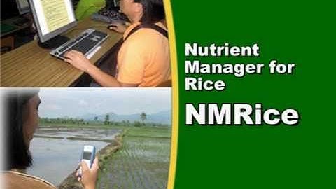 A mobile phone and internet service to help Filipino farmers manage rice crop nutrients