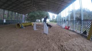 Level 4/ Lesson 1/ Subject 2 (teaching backside send with jump)