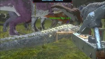 ARK Mobile | Breeding Part 2: BABY DINOS!!! | iOS/Android Mobile Strategy Game