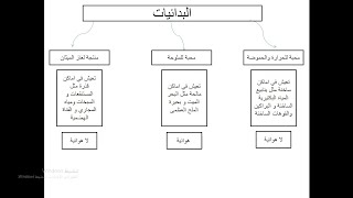 البكتيريا - الجزء الثالث والاخير - احياء اول ثانوي