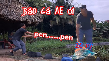 Câu cá chim hồ dịch vụ - hồ Ecolakes phần cuối - cá ăn quên cả lối về