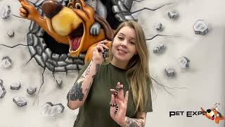 Snakes with Samantha featuring King Snakes