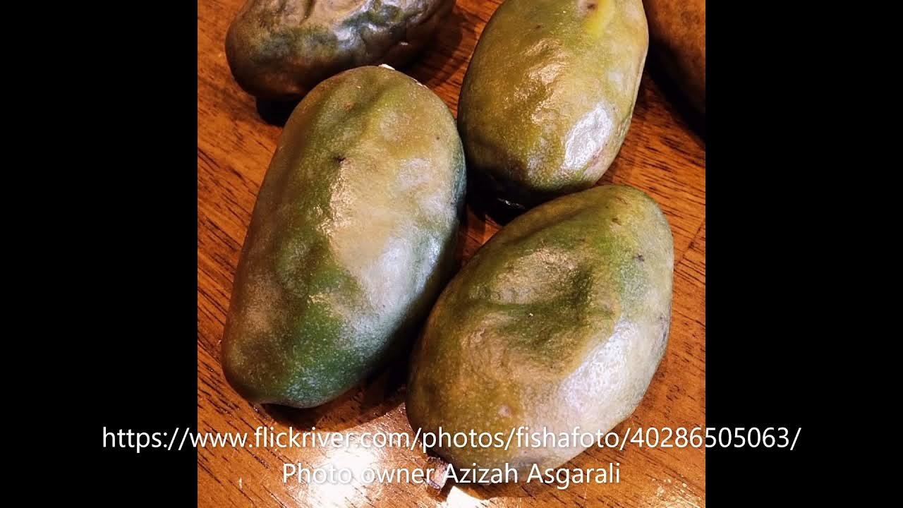 tonka bean fruit can be eaten YouTube