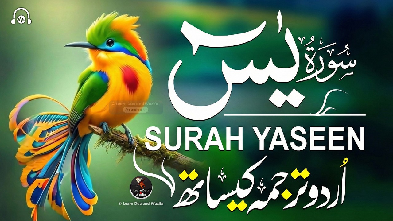Surah Yasin (Yaseen) for Healing | Relieve Stress, Depression & Anxiety | سورة يس | #surahyaseen