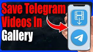 How to Download Telegram Videos to Your Phone Gallery