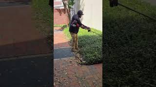 Hello 🤗 | Satisfying Lawn Mowing &amp; Grass Cutting | Perfect Yard Transformation