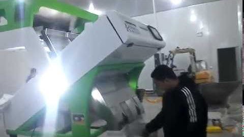 Sunflower seeds color sorting machine，wesort Sunflower seeds color sorter