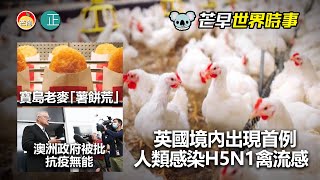 20220108C 英國境內出現首例人類感染H5N1禽流感。寶島老麥有「薯餅荒」。澳洲政府被批抗疫無能。｜芒向早晨