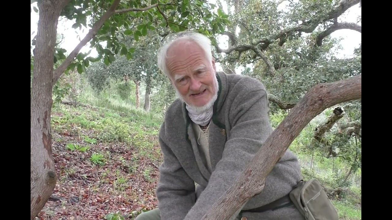 Forstliche Maßnahmen im Schutzgebietssystem des Leipziger Auwaldes - Januar 2026 - Kurzfassung