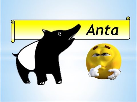 Anta Em.Ingles