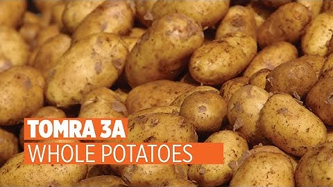 Whole Potato Sorting with the TOMRA 3A