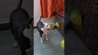Elsa Ko Balloon Se Khelna H