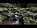 Enjoy Calm River Ambience for Sleep Aid and Cozy Nighttime Focus and Relaxation